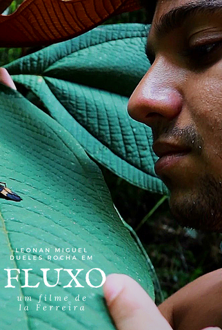 Poster 4 de Curta Fluxo (2019)