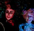 Terror In The Woods