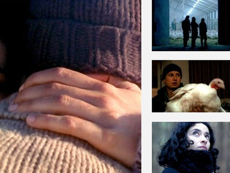 Foto 2 de La part animale     