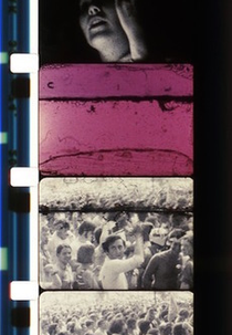 New Left Note (New Left Note)