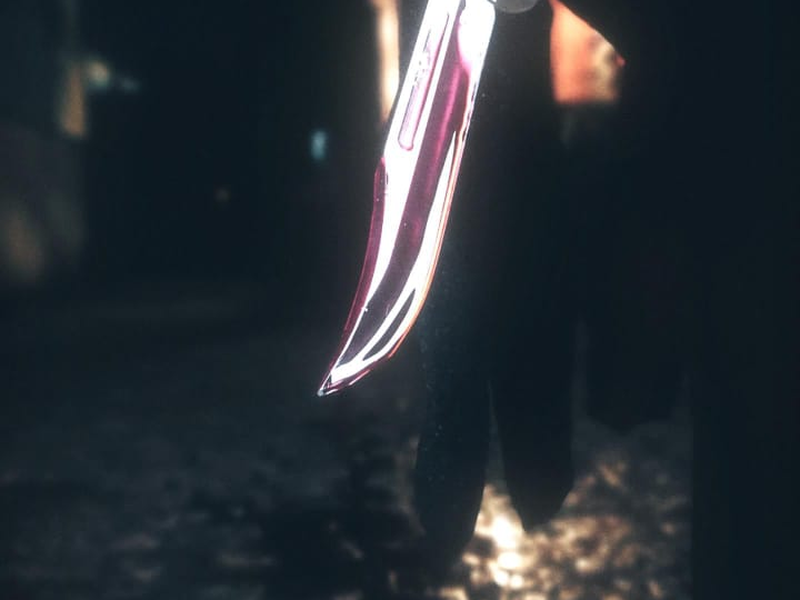 Foto 9 de Carnaval Sangrento