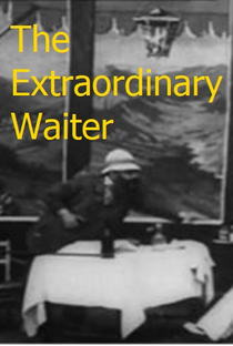 The Extraordinary Waiter - Poster / Capa / Cartaz - Oficial 2