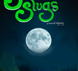 Sincere Slugs