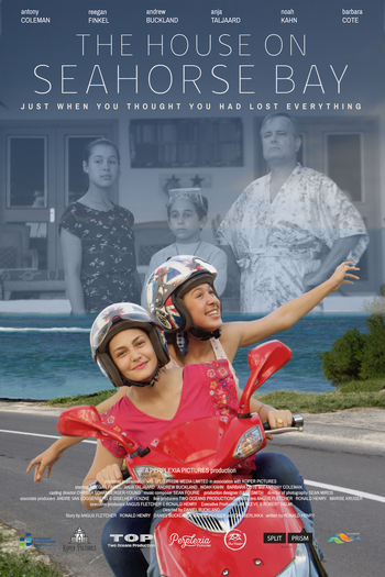 Poster de Filme A Casa de Praia (2019)