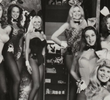 The Bunnies & the Cleanup Crew