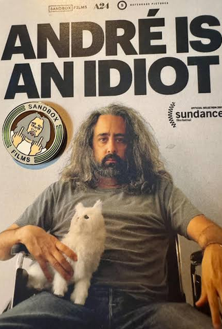Poster 1 de Filme André Is an Idiot (2025)