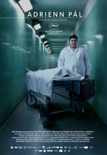 Adrienn Pal (Pal Adriénn)