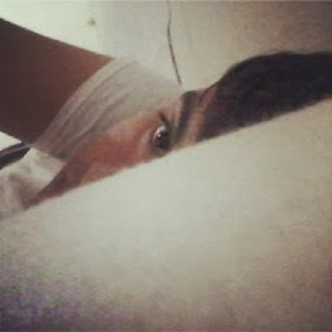 Foto de perfil de Rafael