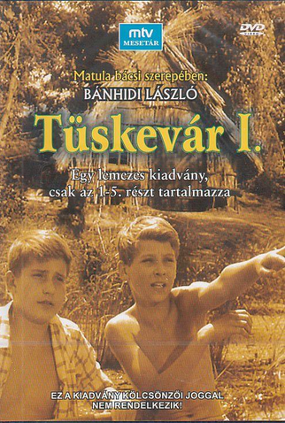Poster 4 de Filme Tüskevár (1967)