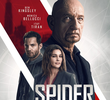 Aranha na Teia