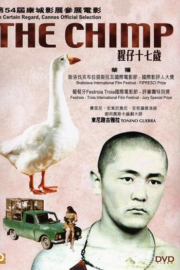 Poster de Filme The Chimp (2002)