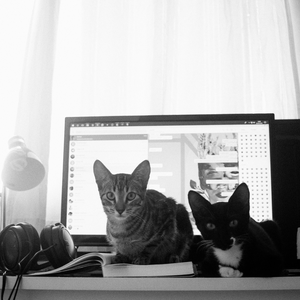 Foto de perfil de AAM