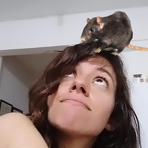 Foto de perfil de nayla
