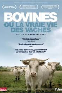 Bovinos ou a Verdadeira Vida das Vacas - Poster / Capa / Cartaz - Oficial 1