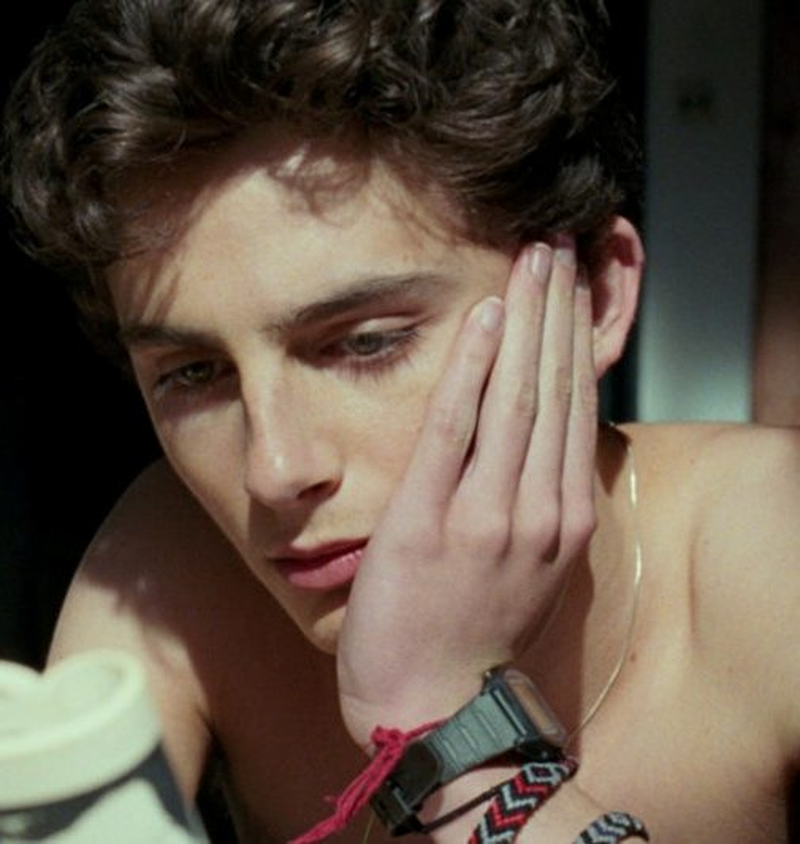 Timothée Chalamet - Foto 15