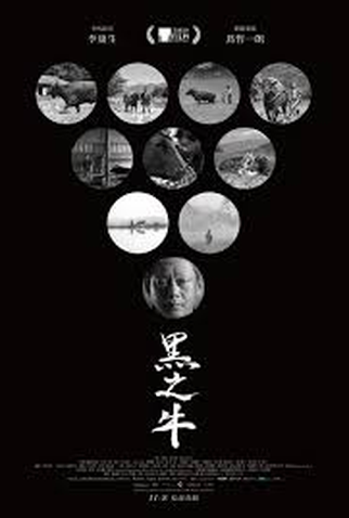 Poster 1 de Filme Black Ox (2024)