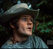 What Are Pardners For?