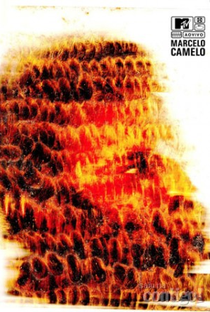 Marcelo Camelo - MTV ao vivo - Poster / Capa / Cartaz - Oficial 1