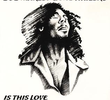 Bob Marley: Is This Love?