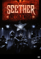 Seether - One Cold Night - Unplugged (Seether - One Cold Night - Unplugged)