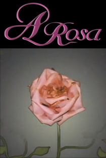 A Rosa - Poster / Capa / Cartaz - Oficial 2