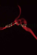 Wild Currents (Wild Currents)
