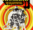 The Stewardesses