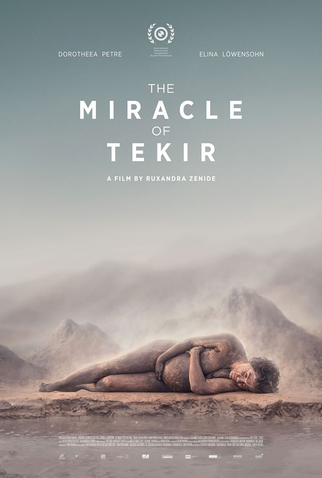 Poster 1 de Filme O Milagre de Tekir (2015)