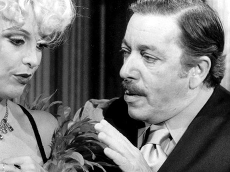 Foto 5 de Feijão Maravilha