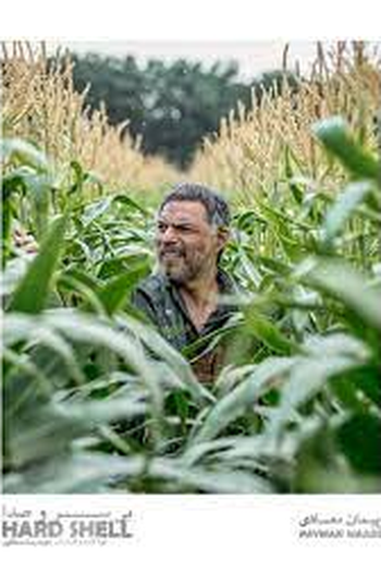 Poster de Filme Persistente (2024)