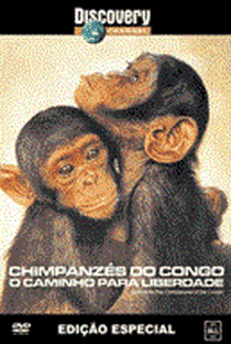 Discovery Channel: Chimpanzes do Congo - O Caminho para Liberdade - Poster / Capa / Cartaz - Oficial 1