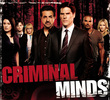 Mentes Criminosas (7ª Temporada)