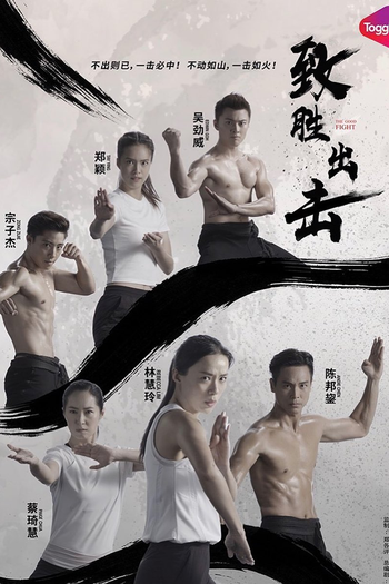 Poster de Série The Good Fight (2019)