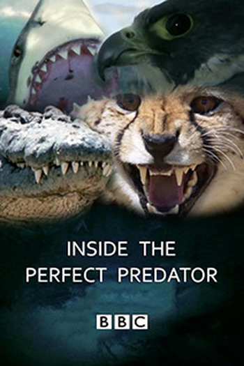Poster de Filme Por Dentro do Predador Perfeito (2010)