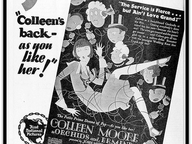 Foto 1 de Arminhos e Orquídeas