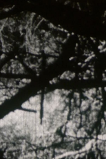 Crépuscule aux Aresquiers (Crépuscule aux Aresquiers)