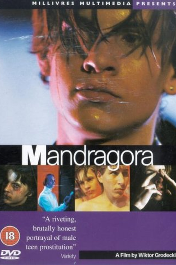  de Filme Mandrágora (1997)