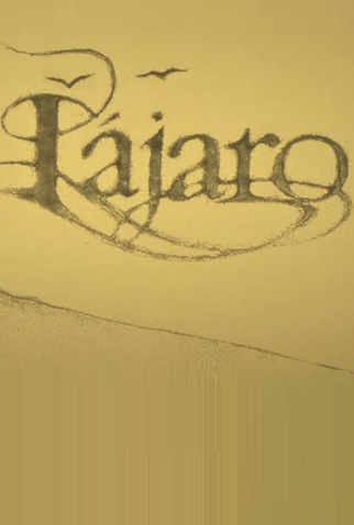 Poster 1 de Curta Pássaro (2023)