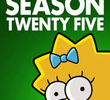 Os Simpsons (25ª Temporada)
