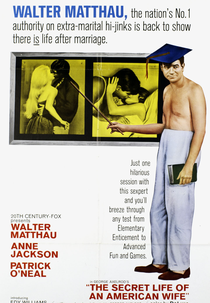 Diário Íntimo de uma Mulher (The Secret Life of an American Wife)