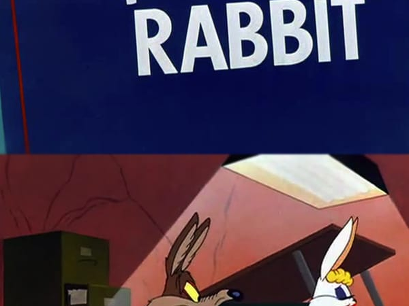 Foto 9 de Operação: Coelho