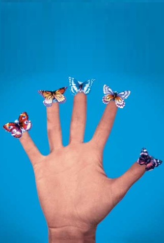 Poster 1 de Curta Butterflies (1975)