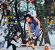 Kung Fu de 7 Passos