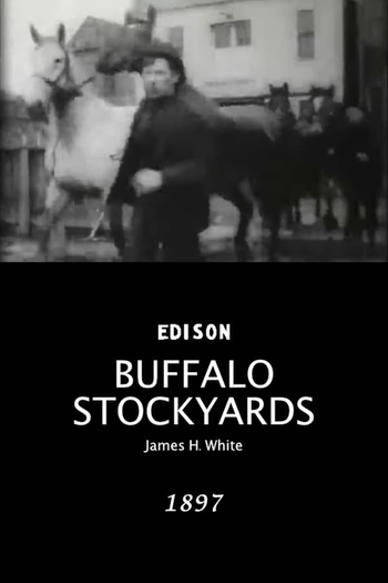 Poster de Curta Buffalo Stockyards (1897)