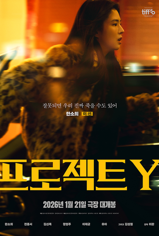 Poster 10 de Filme Project Y (2026)