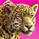 Foto de perfil de pedromarciano