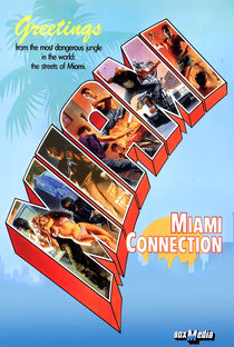 Conexão Miami - Poster / Capa / Cartaz - Oficial 6