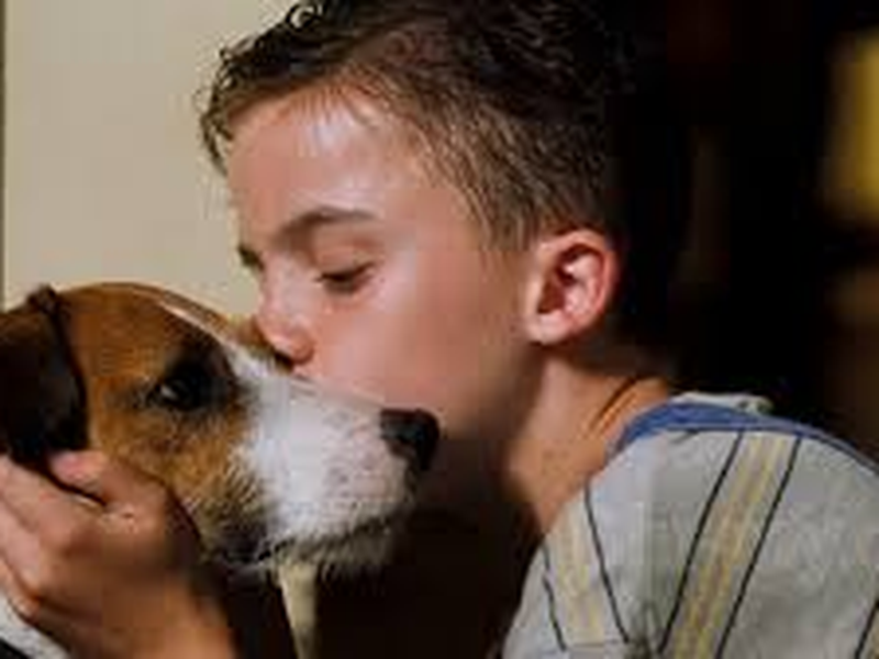 Foto 7 de Meu Cachorro Skip