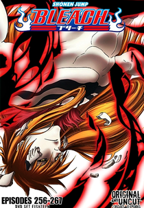 Bleach (13ª Temporada) (ブリーチ シーズン13)