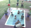 BB1 Ep #19